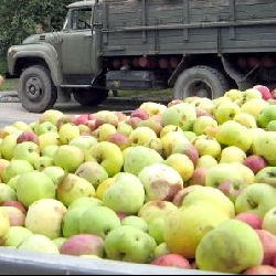 Були грузини – стали українцями. Перевтілення на митниці Були грузини – стали українцями. Перевтілення на митниці