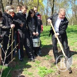 300 беріз посаджено у Чернігівському міському парку. ФОТО 300 беріз посаджено у Чернігівському міському парку. ФОТО