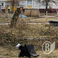 ЖЕКівщина ЖЕКівщина