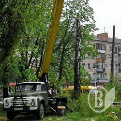 Наметове містечко з'явиться біля знищеного парку в центрі Чернігова Наметове містечко з'явиться біля знищеного парку в центрі Чернігова