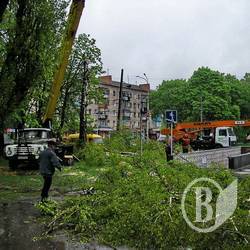 Забудова паркової алеї: Дозволи видані незаконно! Забудова паркової алеї: Дозволи видані незаконно!