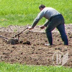У село з тролейбусами – ґендерну рівність! У село з тролейбусами – ґендерну рівність!