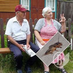 Заїдає,сучка! Заїдає,сучка!