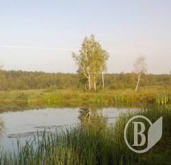 Дерибан Остреча: Липкі претенденти на чуже майно Дерибан Остреча: Липкі претенденти на чуже майно