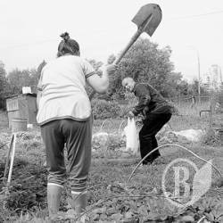 Самосуд: Односельця підвісили і побили Самосуд: Односельця підвісили і побили