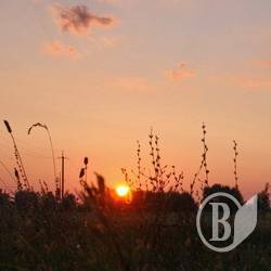Вишенська дача. ФОТОрелаксація Вишенська дача. ФОТОрелаксація