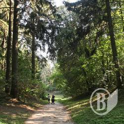 Прогулка по Тростянецкому дендропарку. Фоторелаксация Прогулка по Тростянецкому дендропарку. Фоторелаксация