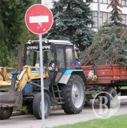 Ялинки на букет меру. До дня міста. ФОТОрепортаж Ялинки на букет меру. До дня міста. ФОТОрепортаж