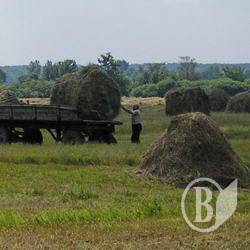 Пожежі: Закурю-но я сінця! Пожежі: Закурю-но я сінця!