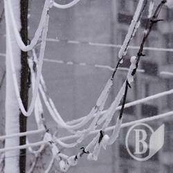 Знеструмлено 10 районів Чернігівської області Знеструмлено 10 районів Чернігівської області