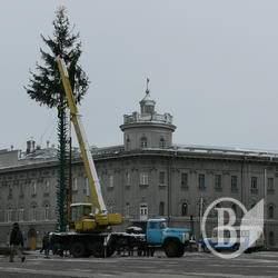 Чернігів готує ялину. ФОТОрепортаж Чернігів готує ялину. ФОТОрепортаж
