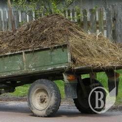 Щоб отримати, треба угноїти! Щоб отримати, треба угноїти!