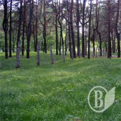«Ялівщина» розквітала… після війни «Ялівщина» розквітала… після війни