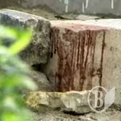 В Киеве собака загрызла 8-летнюю девочку В Киеве собака загрызла 8-летнюю девочку
