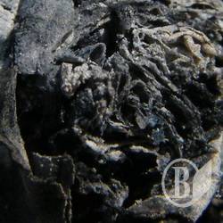 Два человека погибли во время пожара в Черниговской области. Из-за окурка Два человека погибли во время пожара в Черниговской области. Из-за окурка