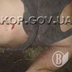 Жінка випила з чоловіком і... зарізала його. ФОТО Жінка випила з чоловіком і... зарізала його. ФОТО