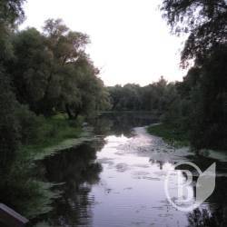 Зелене місто: Погляд на рівні ока та з висоти пташиного політу. ФОТОрелаксація Зелене місто: Погляд на рівні ока та з висоти пташиного політу. ФОТОрелаксація