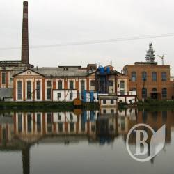 Василь Зубко: Уряд знищує цукрову галузь Василь Зубко: Уряд знищує цукрову галузь