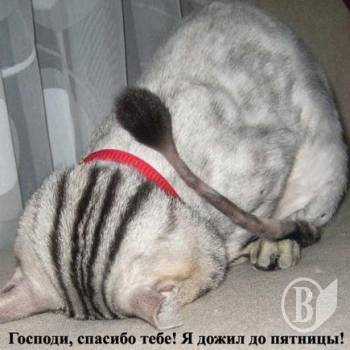 Обніму я тебе, люба, і засну в затінку дуба. ФОТОвиховання Обніму я тебе, люба, і засну в затінку дуба. ФОТОвиховання