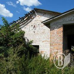 У Новий рік без молока від корови У Новий рік без молока від корови