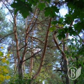 ³ : ³   ,     ... ³