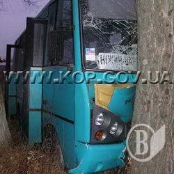 Автобус проверил тополь на прочность Автобус проверил тополь на прочность