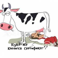 ВТО вредит Украине? ВТО вредит Украине?