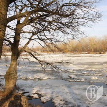 Розведено міст через Десну біля Новгород-Сіверського Розведено міст через Десну біля Новгород-Сіверського