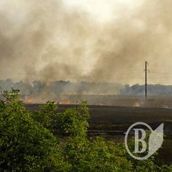 Пожежа минулорічної трави сталась на Чернігівщині. Почалося! Пожежа минулорічної трави сталась на Чернігівщині. Почалося!
