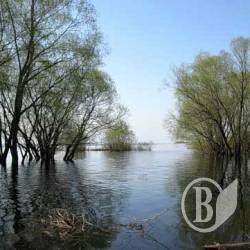 Вода на Дніпрі спадає, на Десні – не поспішає Вода на Дніпрі спадає, на Десні – не поспішає