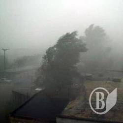 Ветер на Черниговщине посносил крыши и повредил тысячи деревьев