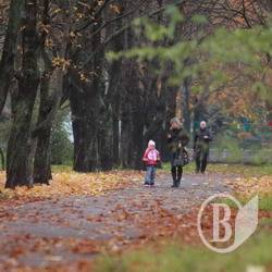 Осінь по місту гуляє. ФОТОрелаксація Осінь по місту гуляє. ФОТОрелаксація