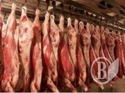 Німецьке м'ясо до споживачів не потрапить Німецьке м'ясо до споживачів не потрапить
