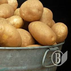 Споживання продуктів харчування на Чернігівщині в I кварталі 2011 року Споживання продуктів харчування на Чернігівщині в I кварталі 2011 року