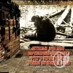 „Актуальні проблеми партизансько-підпільного руху в Україні». Презентація „Актуальні проблеми партизансько-підпільного руху в Україні». Презентація