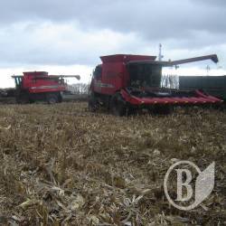 Дві мільйона тонн зерна вчетверте на Чернігівщини Дві мільйона тонн зерна вчетверте на Чернігівщини