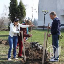 У Чернігові зацвіте сакура. Якщо сподобається клімат (фоторепортаж) У Чернігові зацвіте сакура. Якщо сподобається клімат (фоторепортаж)