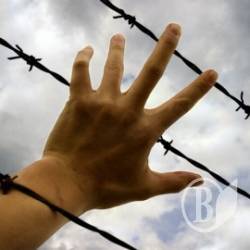 В’язниця стане тюремним університетом? (відео) В’язниця стане тюремним університетом? (відео)
