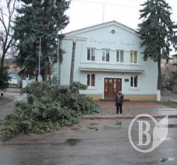 Буря зламала велетенську ялину, як сірник, у Чернігові Буря зламала велетенську ялину, як сірник, у Чернігові