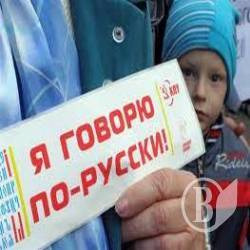 Сенсаційна заява 85 недержавних організацій Сенсаційна заява 85 недержавних організацій