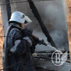 Дівчачі пустощі – вогонь з’їв 15 квадратів сараю Дівчачі пустощі – вогонь з’їв 15 квадратів сараю
