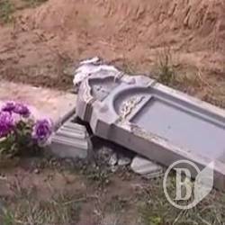 Понты среди мертвецов – малолетний погром на кладбище Понты среди мертвецов – малолетний погром на кладбище
