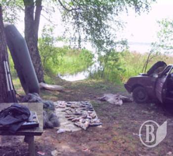 Браконьєри ловили вагітну рибу Браконьєри ловили вагітну рибу