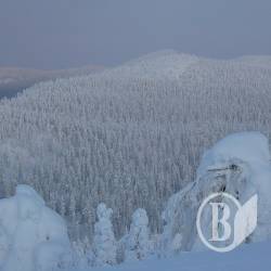 Китай відбирає Сибір, а Росія мовчить у «тряпочку»? Китай відбирає Сибір, а Росія мовчить у «тряпочку»?