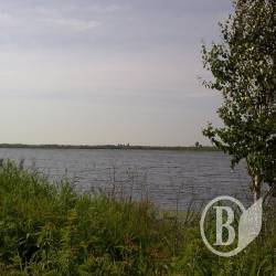 У ставку потонув 55-річний чоловік У ставку потонув 55-річний чоловік