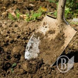Поки бабця «хоронила» яйце, шахраї винесли всі заощадження Поки бабця «хоронила» яйце, шахраї винесли всі заощадження