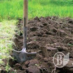 Військові та селяни ділять землю Військові та селяни ділять землю