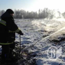 Боротьба з палаючими торфовищами затягнулась на 2 тижні – хеппі енд Боротьба з палаючими торфовищами затягнулась на 2 тижні – хеппі енд