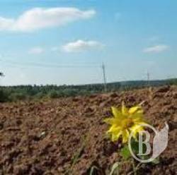 Гектар чернігівської землі оформили на підставну особу Гектар чернігівської землі оформили на підставну особу