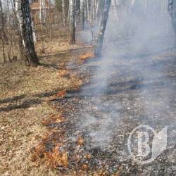 Підпал сухої трави тягне за собою кримінальну відповідальність Підпал сухої трави тягне за собою кримінальну відповідальність